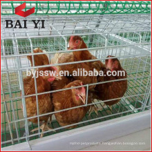 Folding Metal Chicken Layer Cage For Africa Market